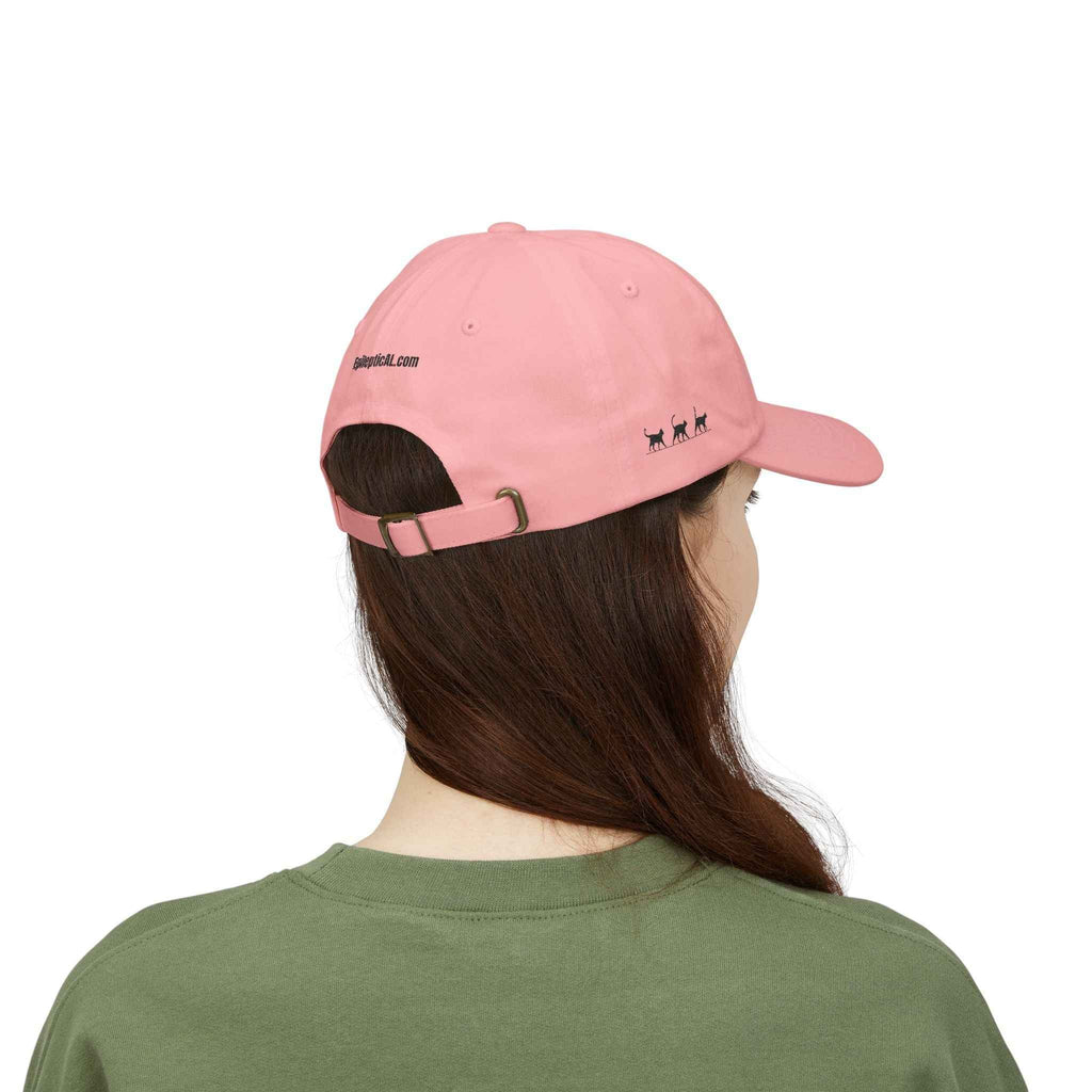 Warning: Pet at Your Own Risk Hat – Sassy Cat Embroidered Dad Cap - Hats, Baseball & Trucker - EpiAl's Shop