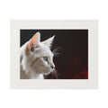 Wonderful White Cat Fine Art Print with Passepartout Frame - Decor, Home, Artwork - EpiAl's Shop