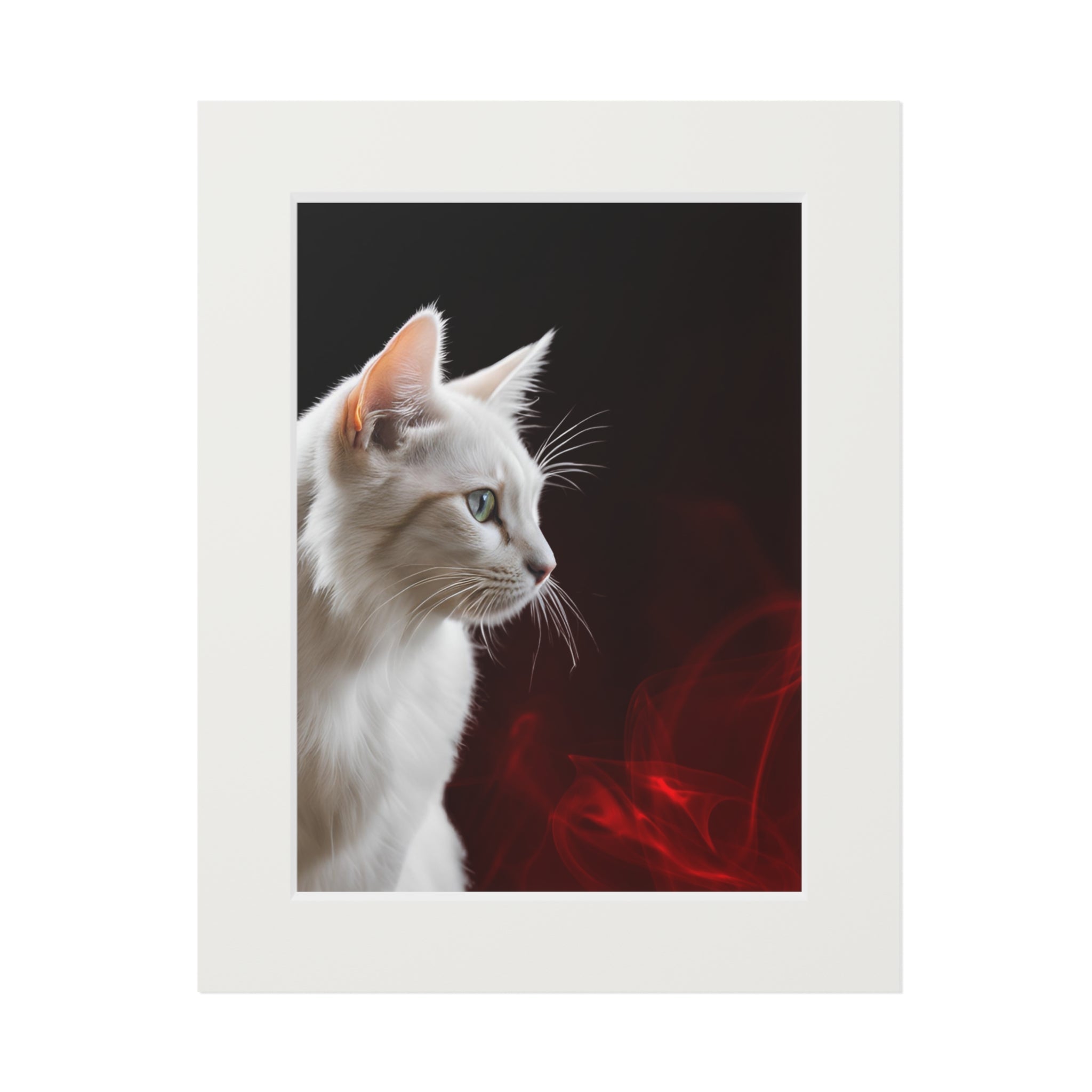Wonderful White Cat Fine Art Print with Passepartout Frame - Decor, Home, Artwork - EpiAl's Shop