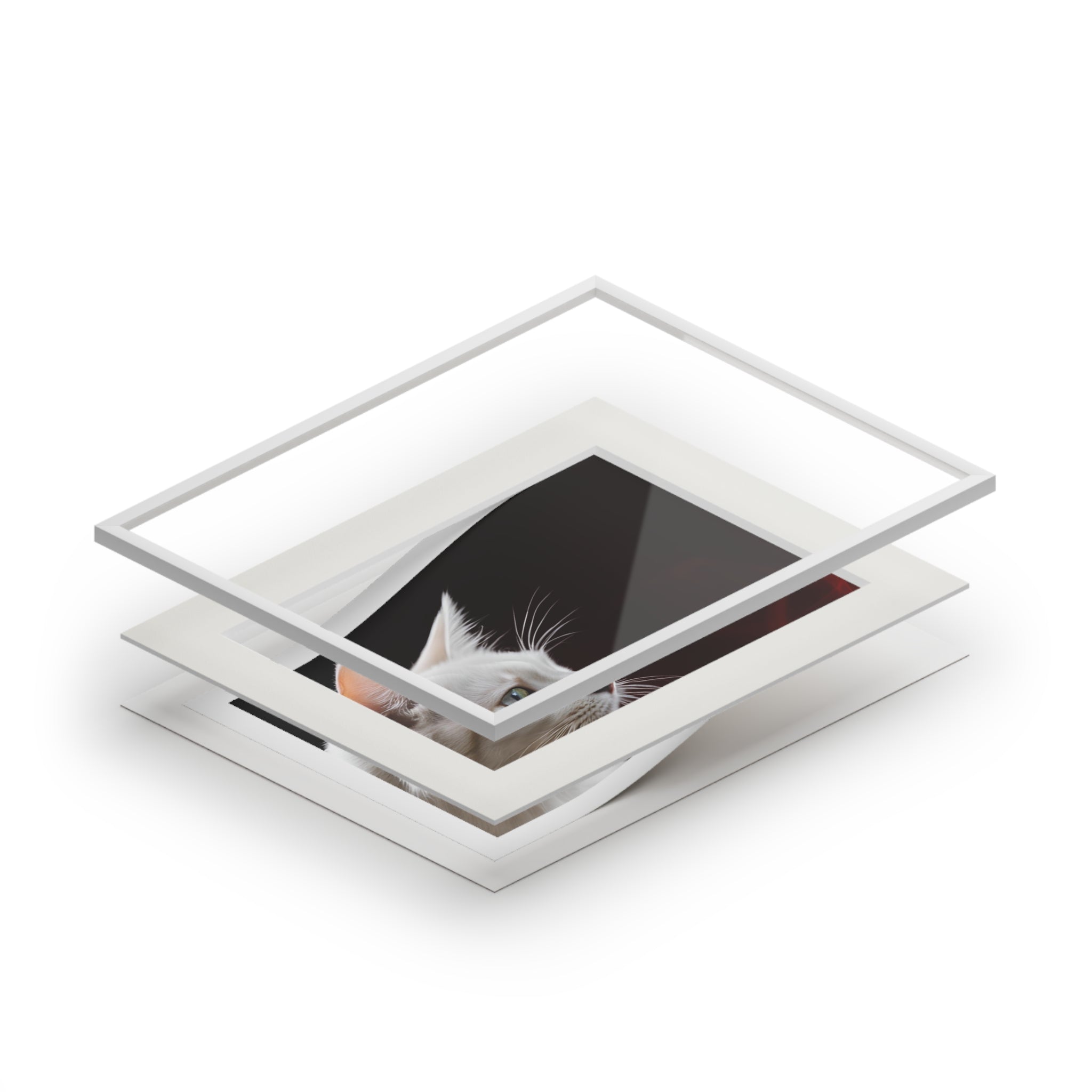 Wonderful White Cat Fine Art Print with Passepartout Frame - Decor, Home, Artwork - EpiAl's Shop
